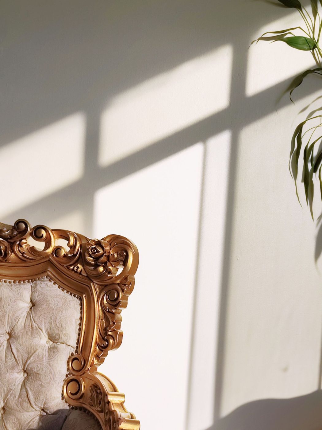 Furniture project 75